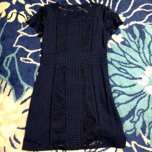 Abercrombie lace dress